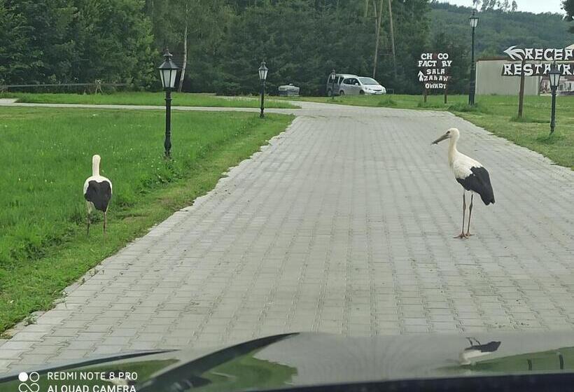 Отель Dwór Wapowce