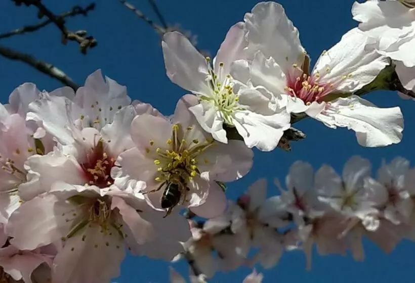 호텔 Finca Can Estades