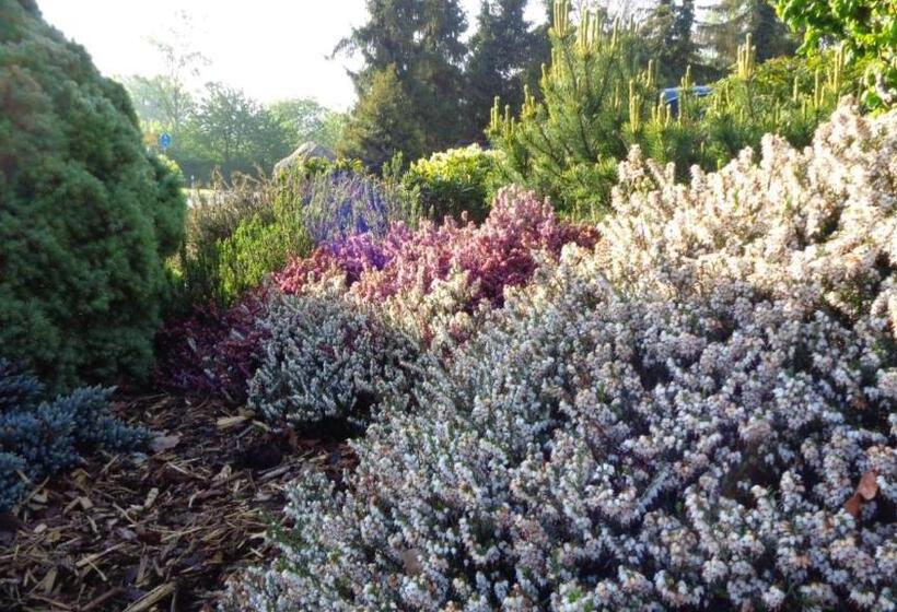 ホテル Garni Eichhornkobel