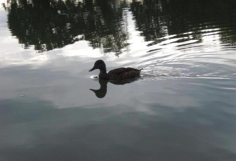 ホテル Garni Eichhornkobel