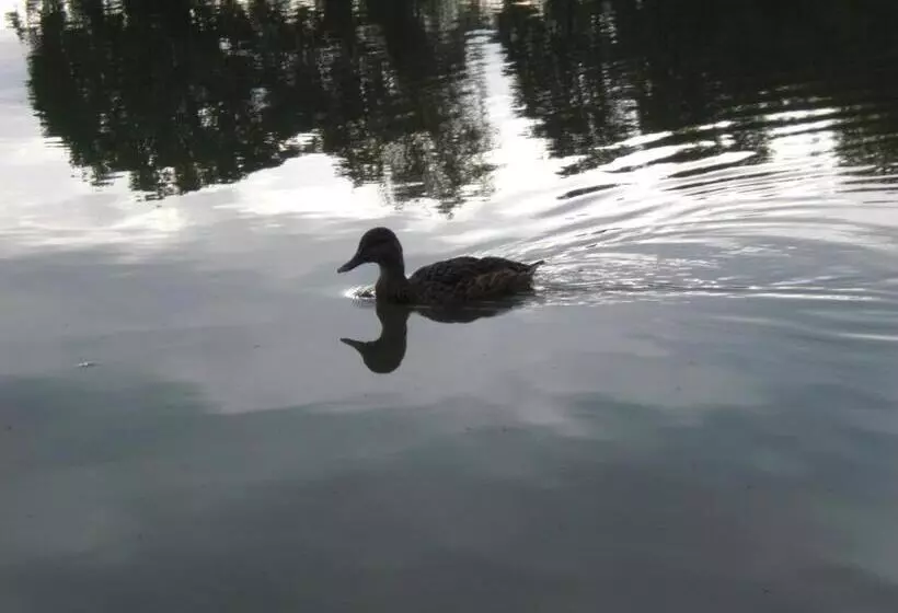 فندق Garni Eichhornkobel