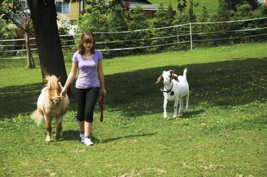 ホテル Obermayrgut