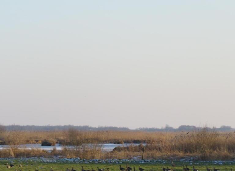 酒店 Restaurant Cafe Geertien