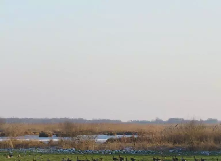 Hotel Restaurant   Cafe  Geertien