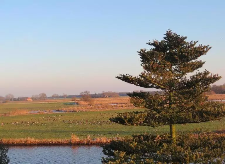 Hotel Restaurant   Cafe  Geertien