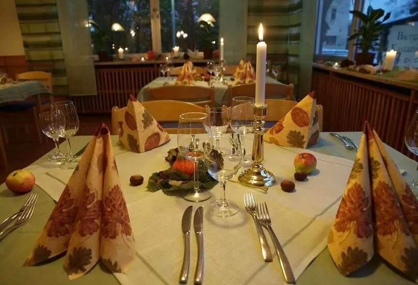 Отель Restaurant Kastanienhof Lauingen