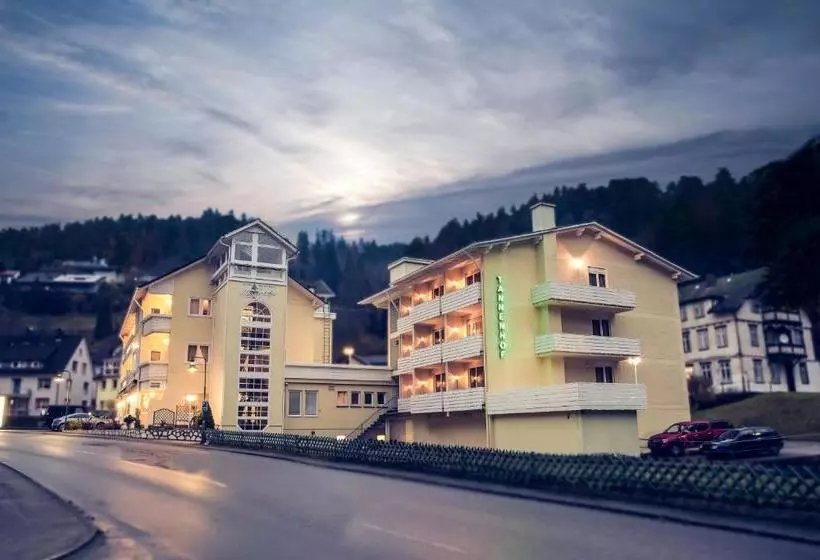 Отель Restaurant Tannenhof