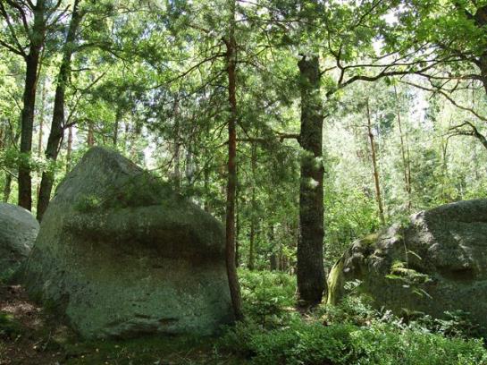 Kurhotel Moorbad Grosspertholz