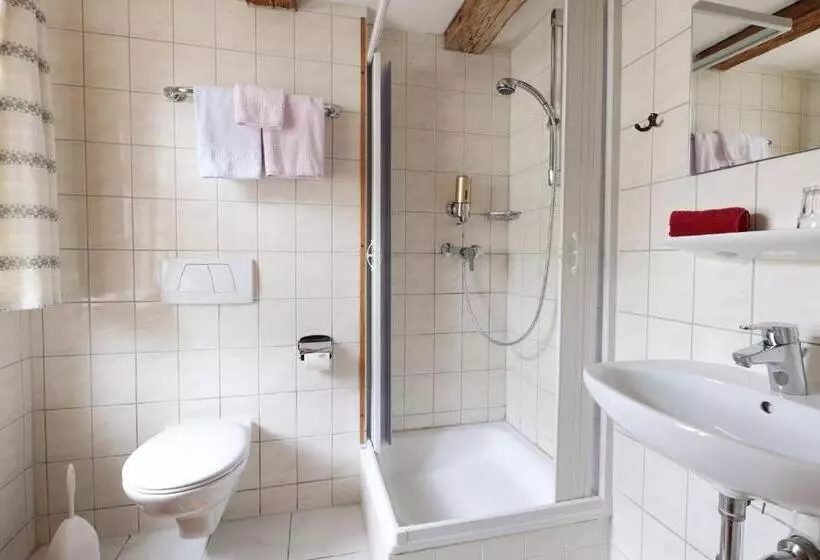 بنسيون Gasthof Schiff