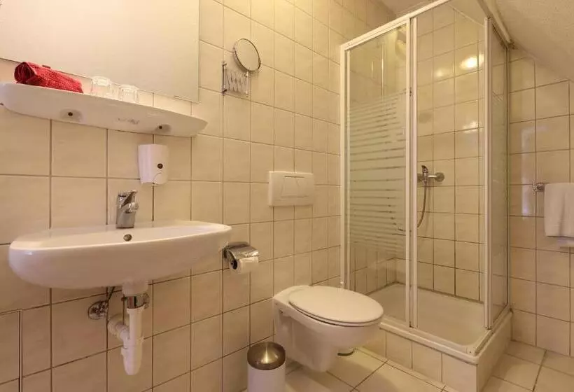 بنسيون Gasthof Schiff