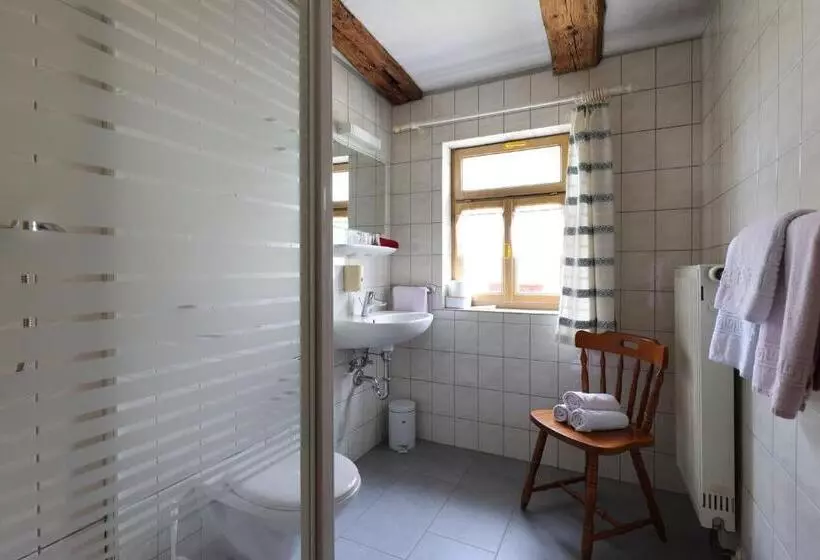 بنسيون Gasthof Schiff