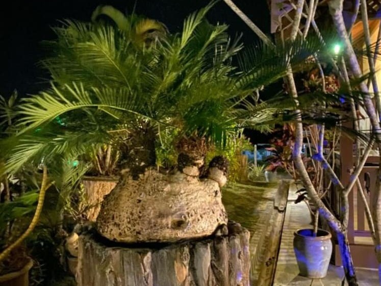 Hotel Singgahsana Villa