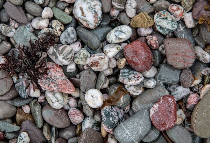 The Inn On The Shore