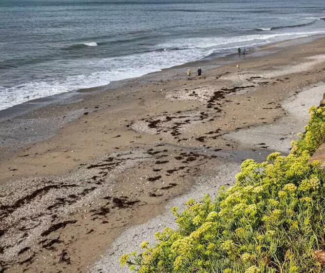 The Inn On The Shore