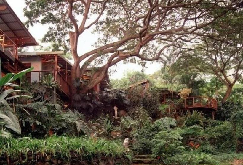 Nocleg ze śniadaniem Dragonfly Ranch