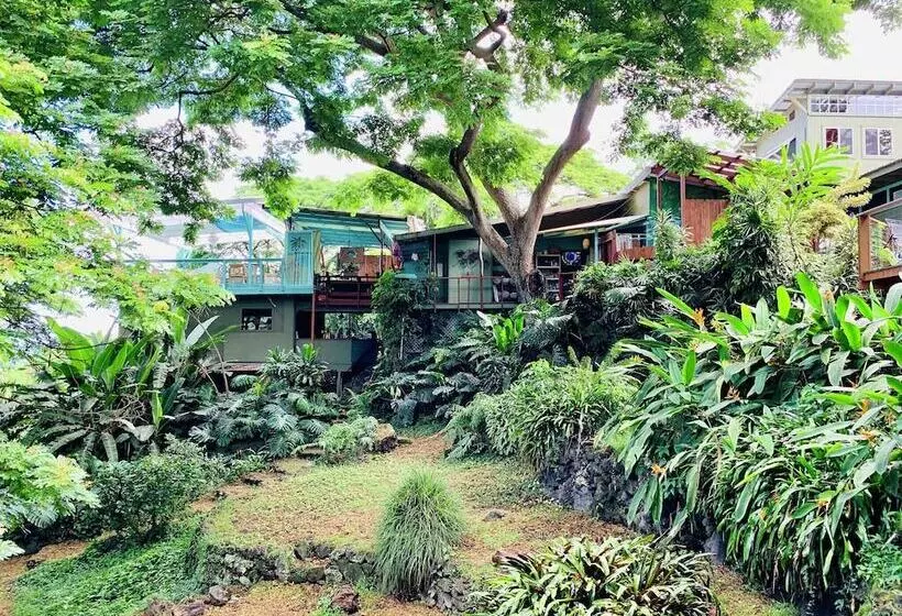 Aamiaismajoitus (B&B) Dragonfly Ranch