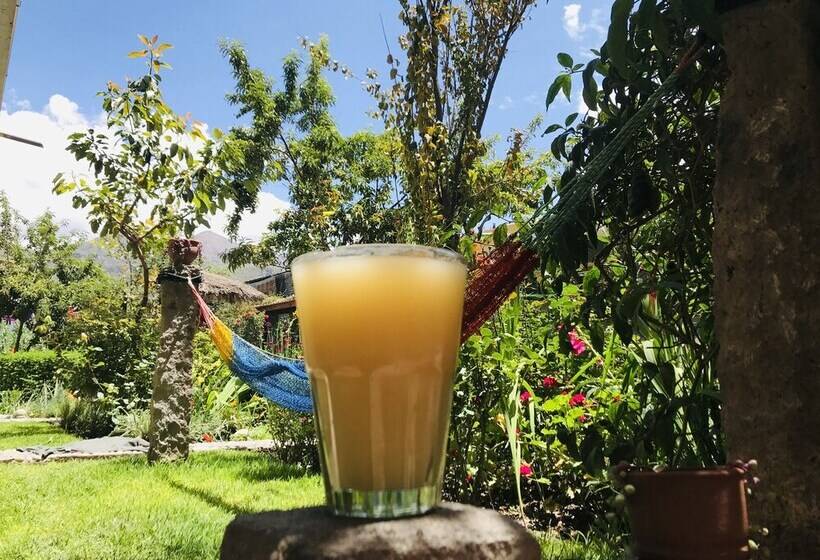 Hotel Hospedaje Roly