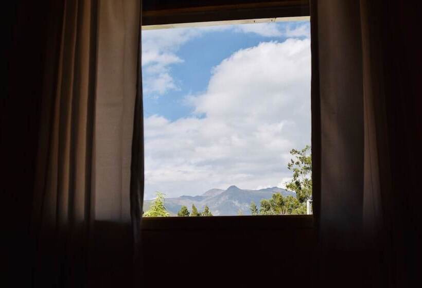 Hotel Hospedaje Roly