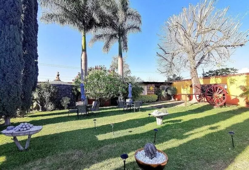 ホテル La Estancia Spa
