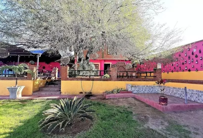 ホテル La Estancia Spa