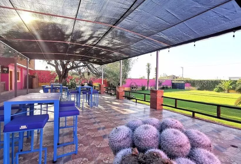 ホテル La Estancia Spa