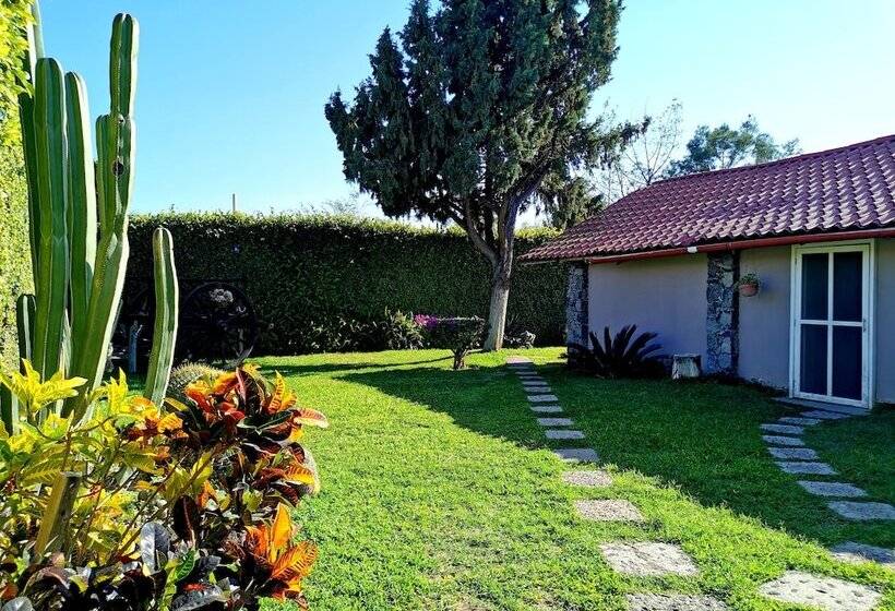 호텔 La Estancia Spa