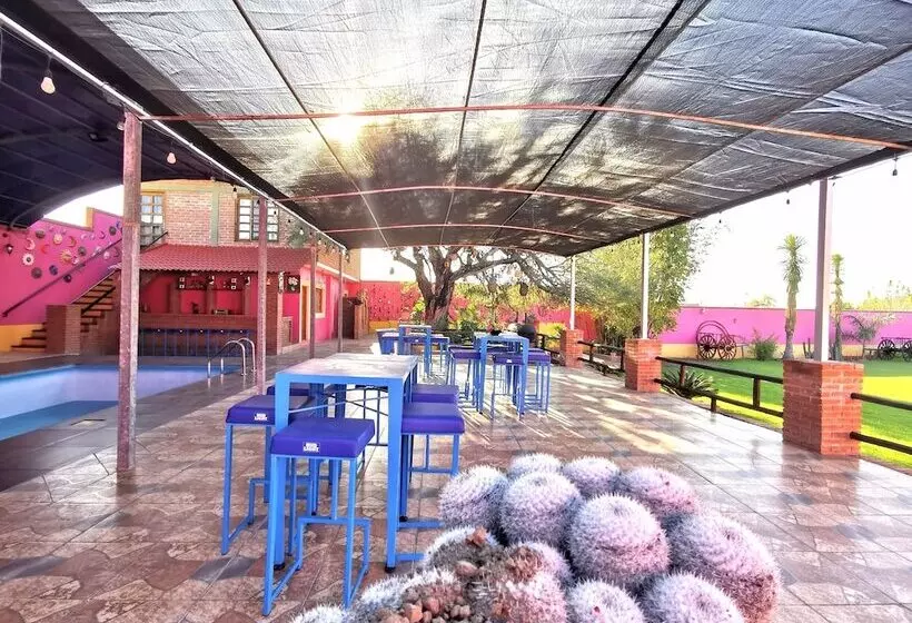ホテル La Estancia Spa