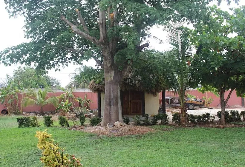 Hotelli Mangrove King Fishing Lodge