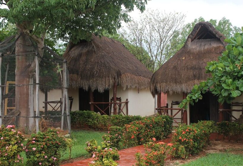 Отель Mangrove King Fishing Lodge