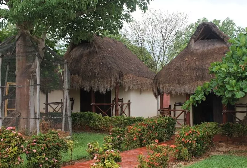 Hotelli Mangrove King Fishing Lodge