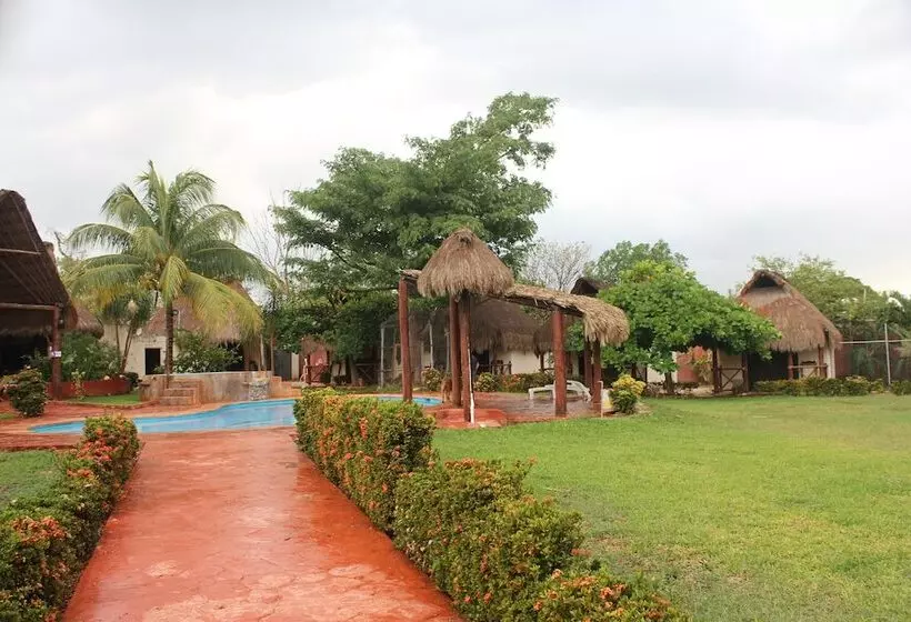 Hotelli Mangrove King Fishing Lodge