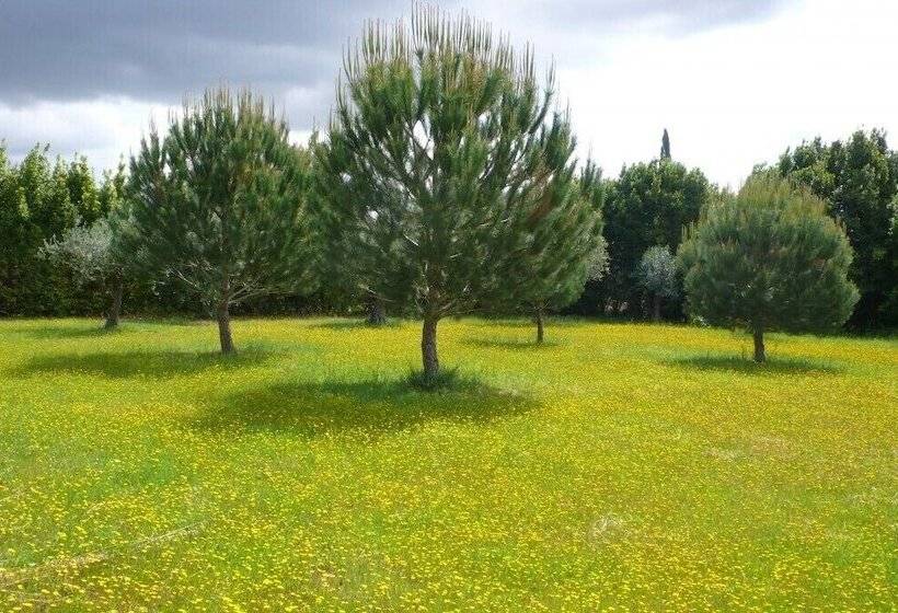 هتل روستایی Casa Da Avó Genoveva