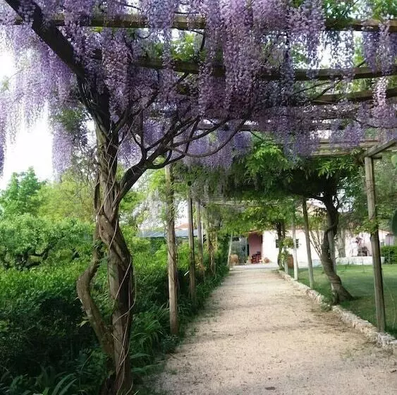 Maaseutuhotelli Casa Da Avó Genoveva