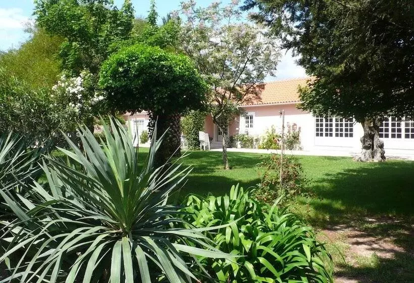 Maaseutuhotelli Casa Da Avó Genoveva