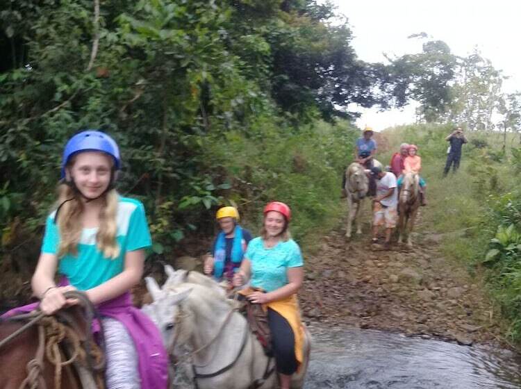 בית מלון כפרי Wonderful View Cabins