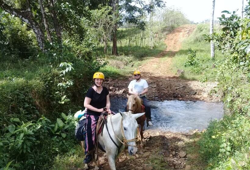 בית מלון כפרי Wonderful View Cabins