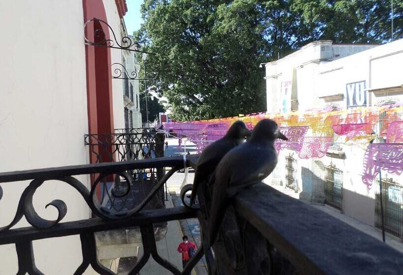 Pensionat Casa De La Asunción