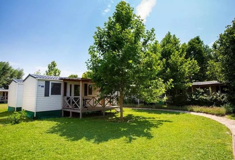 Lomakeskus Pelso Camping