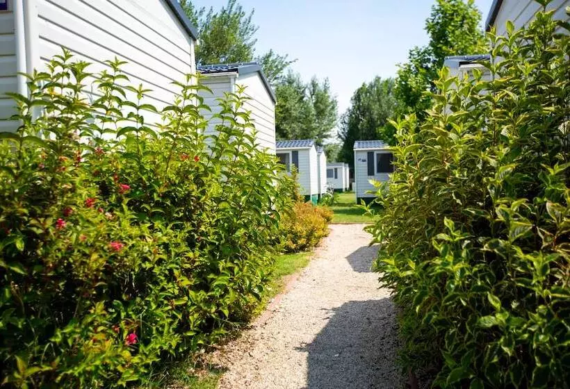 Lomakeskus Pelso Camping