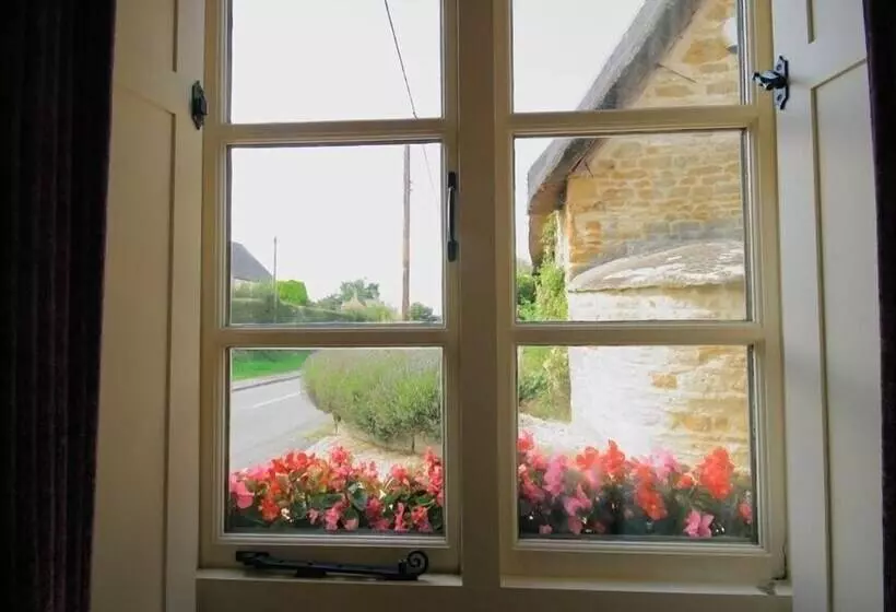 The Old Reading Room