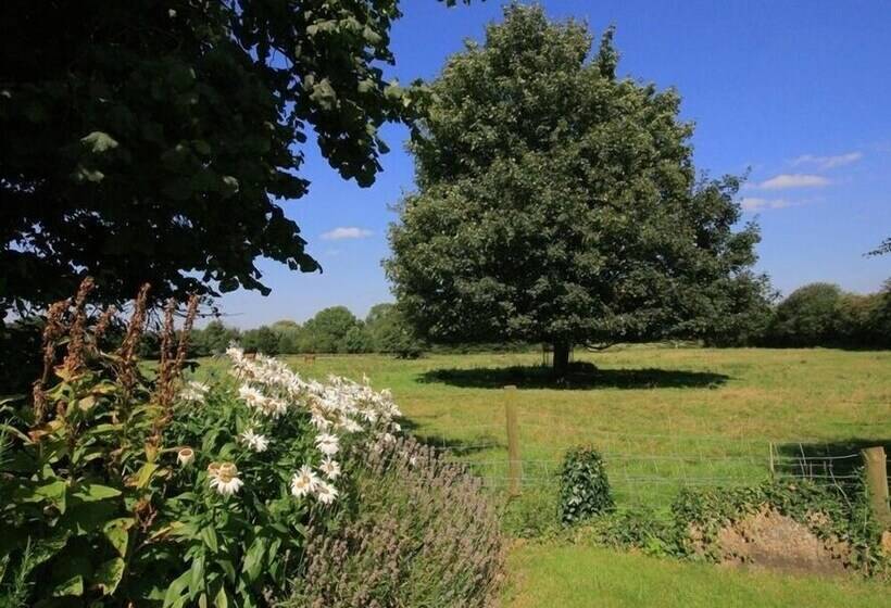 The Old Reading Room