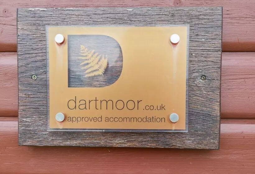 Dartmoor View