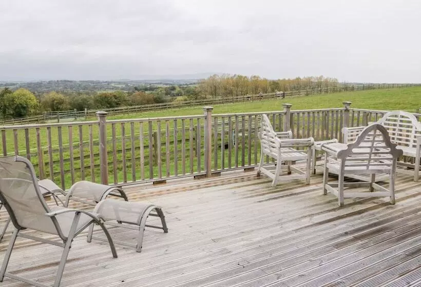 Dartmoor View