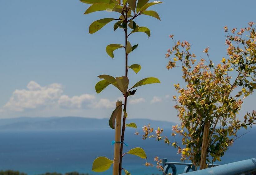 هتل Dianas Studios