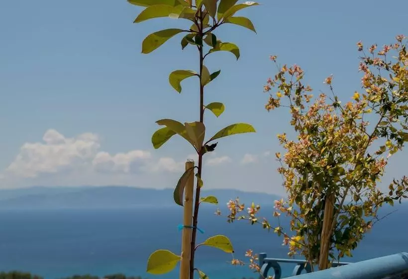 هتل Dianas Studios