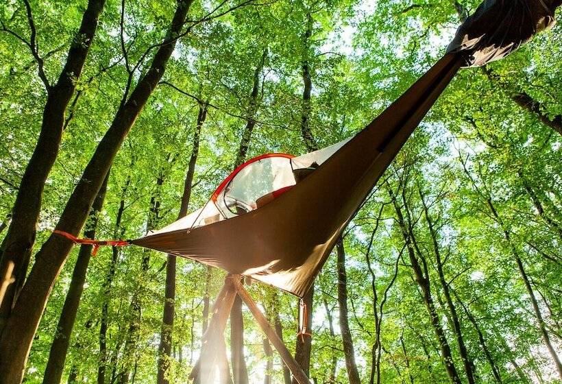 בית מלון כפרי Eifeladventures