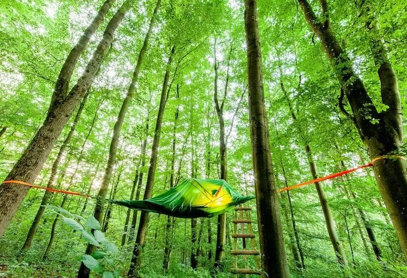 Hotelli Eifeladventures