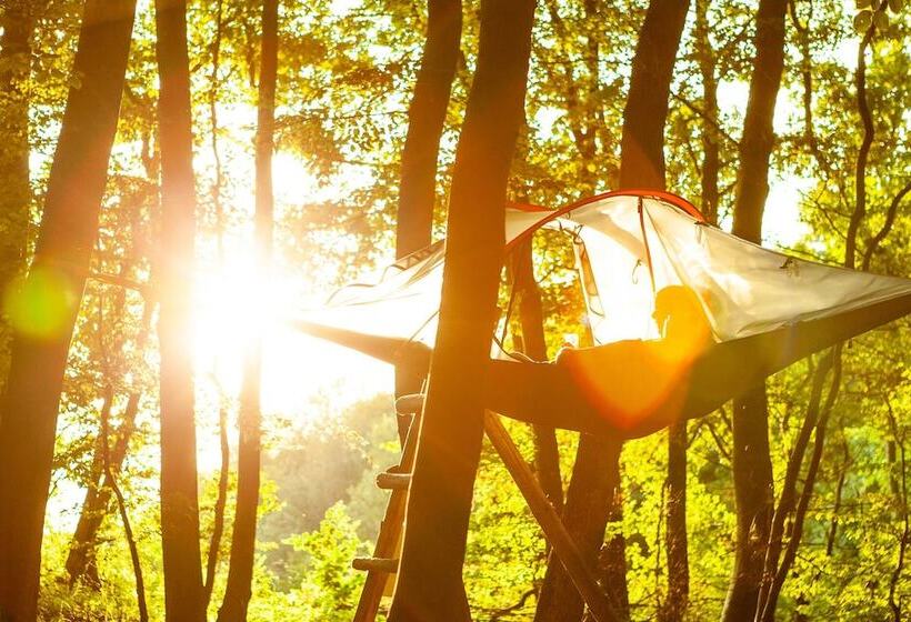 בית מלון כפרי Eifeladventures