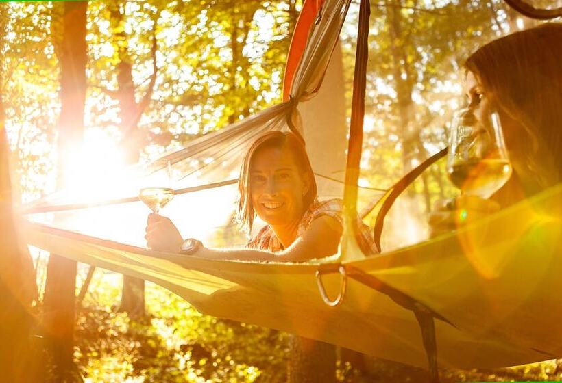 בית מלון כפרי Eifeladventures