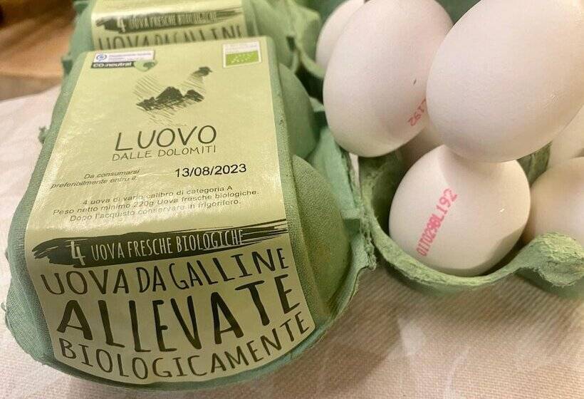 Dolomites Base Camp Hotel Olympia